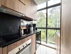 Phoenix Residences (D23), Apartment #556419501